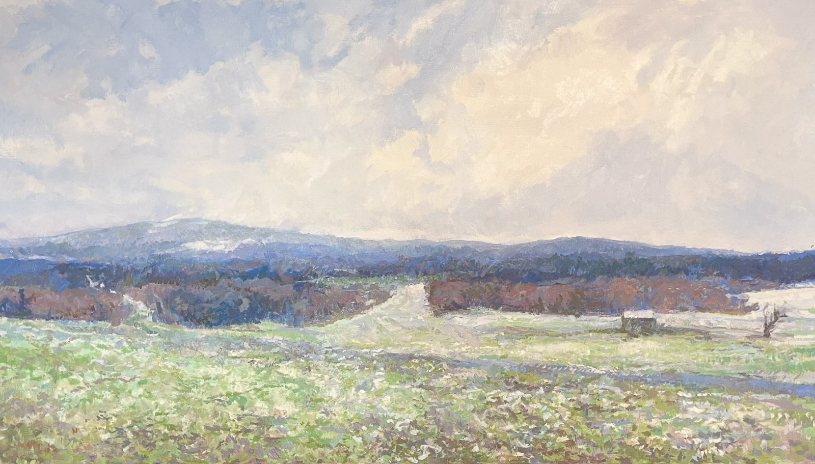OLYMPIC FOOTHILLS IN MARCH, Peter Malarkey, oil on linen, 35 x 60 inches, copyright ©2024