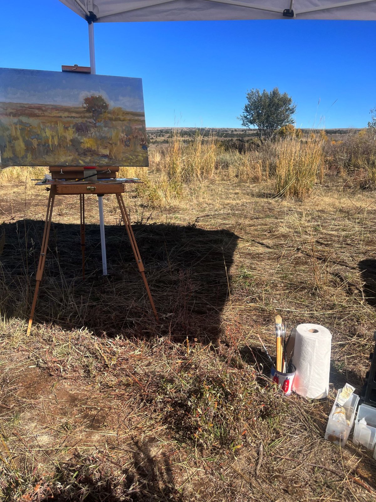 Peter Malarkey Plein Air Setup